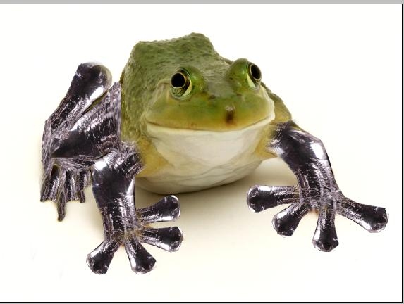 Creation of Frog: Step 2